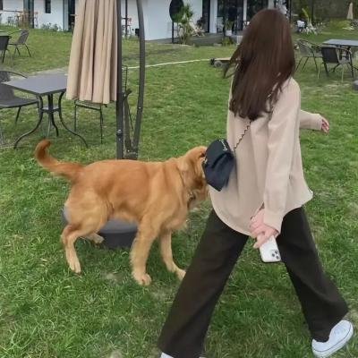 桃源艳舞